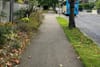 Footpath. Photo by Sunni Bean.