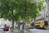 David: The Ambition of BusConnects Deserves to Be Rewarded