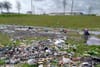 Here’s How Some LE19 Candidates Say They’ll Tackle Dog Poo and Illegal Dumping