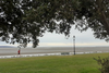 Council Briefs: Adding Flood Defences in Sandymount, Transforming Trees in the Dublin Mountains, and More