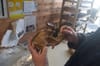 What can Viking dog bones from under the Aungier Street Lidl tell us about medieval society?