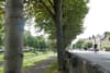 David: The Greenways Campaign Is a Path to a Healthier, More Public City