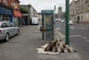 The Surprising Persistence of a Dolphin’s Barn Phone Box